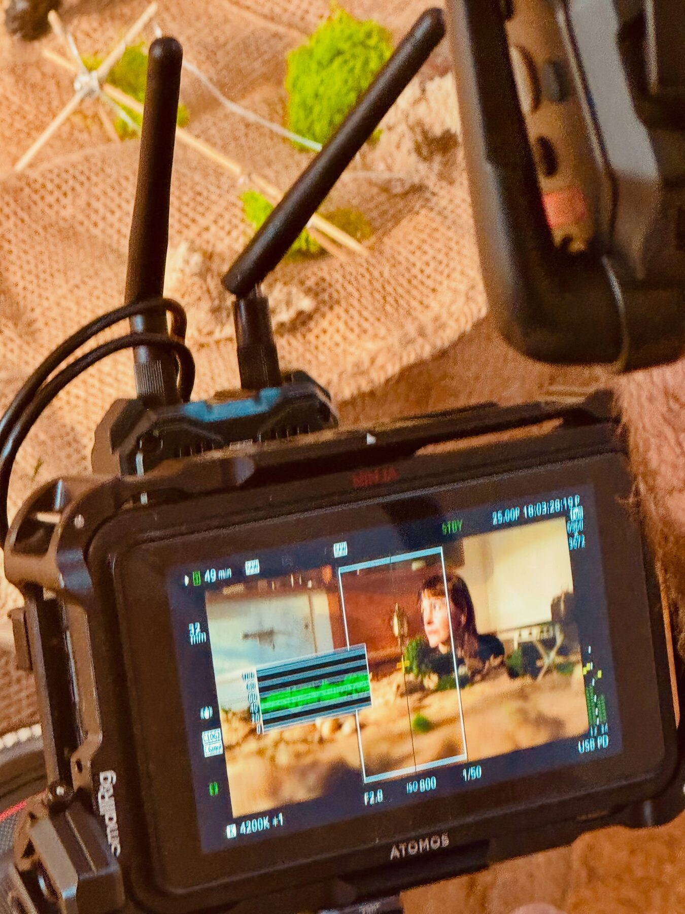 Paměť národa — proces, monitor na place